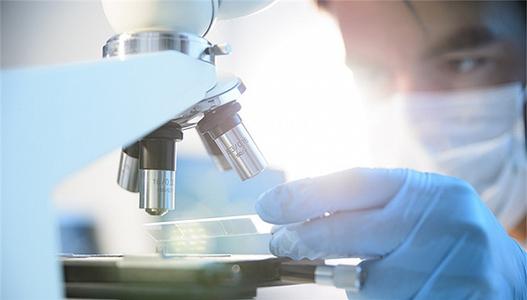 軟件安全測(cè)試